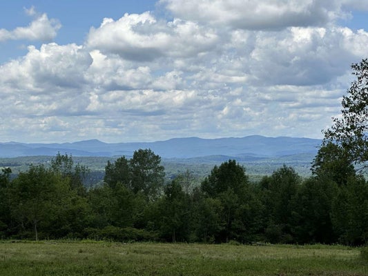 9 SOUTH ST, CASTLETON, VT 05735 - Image baea82809bd3f78bb27fcf1f78bdd00d/1495803733
