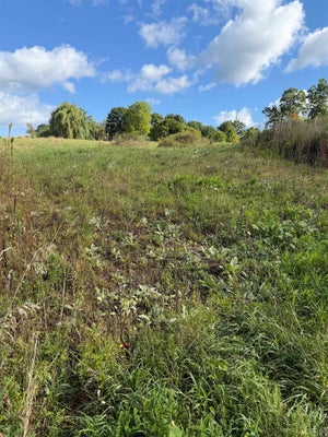 31 PASTURE LN, PELHAM, NH 03076 - Image bcc5dd42631bf26535c814c24df00a1e/3392872792