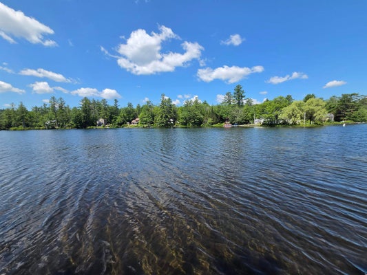 52 LEWIN RD, ENFIELD, NH 03748 - Image bd3de2ec6057b3f5ab3f1d7a33f74ac0/3988407742