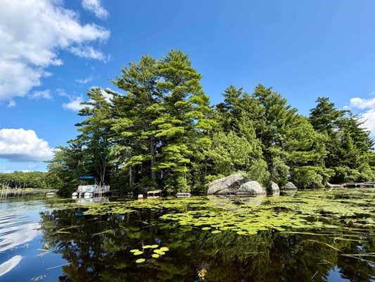 3 HERMIT IS, WASHINGTON, NH 03280 - Image c2b7cc8fa6ef86ab8dc5e2399d5ccc9c/151515168
