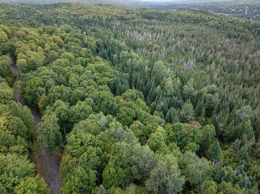 ADDRESS PRIVATE, PITTSBURG, NH  - Image c56656a0347e9cabd1bb8d31e4439df2/3203837908