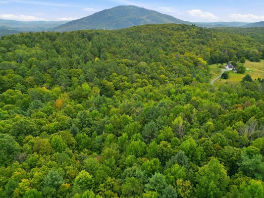 57 BANISTER RD, READING, VT 05062 - Image c5a48de8ccca4f29d78b4f5a08563aab/956087113