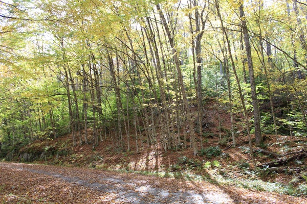 0 TIMBERCREST ROAD # 25, STOCKBRIDGE, VT 05772 - Image c5e14b3d9dd979e5324017ad2a16dbbf/395028725