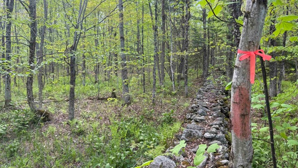 POTTER RD, LOWELL, VT 05847 - Image c97bf64cf330a1d5a7ea3666fe8404a4/3842120723