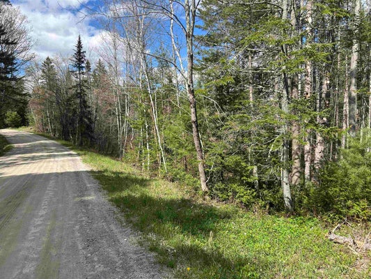 00 BOYNTON ROAD, LONDONDERRY, VT 05148 - Image cb60edb8f9dde27944e92ae8a2b3285c/2235432555