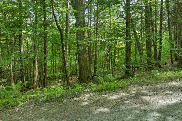SAFFORD RD, QUECHEE, VT 05059 - Image cd32c0bee197aa1f8e7bc4f487570db9/4260251932