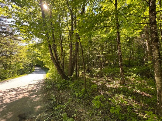 2800 DUGAR BROOK RD, CALAIS, VT 05648 - Image cf4a84f01cffd4691bf82d44d97b01a1/4253942979