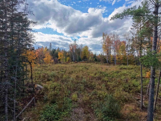 4334 HINMAN SETTLER RD, NEWPORT, VT 05855 - Image d02a28ba193e11e53d02f07f6ebf4dbd/2350368280