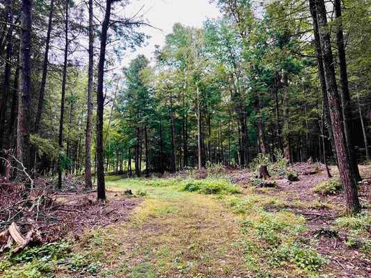 MARLBORO RD, BRATTLEBORO, VT 05301 - Image d066f91f92eae224afd64152d430bf2d/4208274128