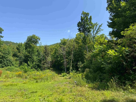 15 OLD MILL RD, TAMWORTH, NH 03886 - Image d49cbb3ef3e483b4cbdc740b120b73e7/2520243312