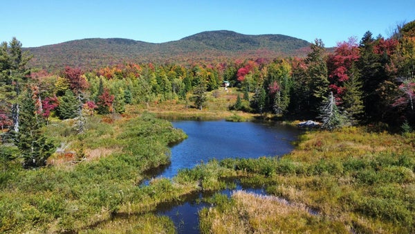 689 BLACK FALLS RD, MONTGOMERY, VT 05470 - Image d4dc025c1ce5a37cb0ae6d99a92f43f6/871706644