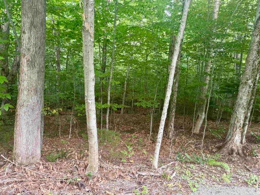 17 NINA LN, WEST DOVER, VT 05356 - Image da0328f10d2f610d57e41eec959e12c5/3029987473