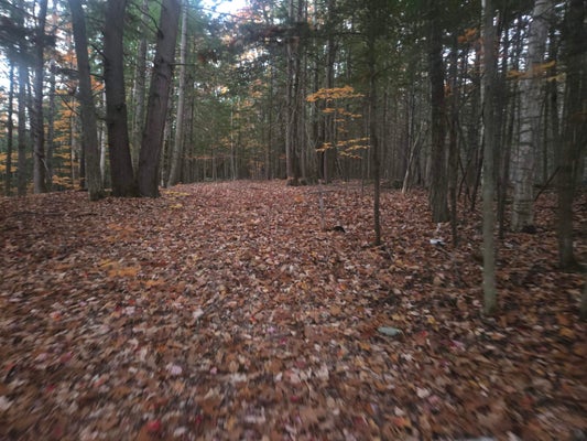 MAP 09 LOT 30 GOULD POND ROAD, HILLSBOROUGH, NH 03244 - Image da835e4fa33e53b49741665ac7fe07e1/493539380