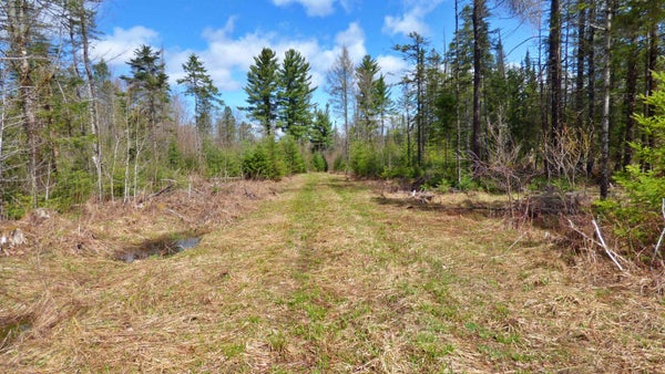 SPARHAWK RD, LYNDONVILLE, VT 05851 - Image db23b0a448dc84366fc60ce80bfd9d3a/3208994265