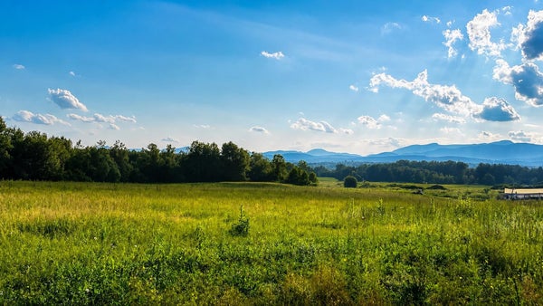 FITZGERALD RD, MORRISVILLE, VT 05661 - Image dca9ccfb633825e4a3748bedebef5b83/4071673525