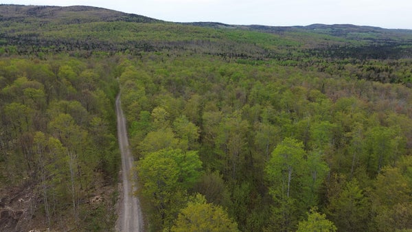 ADDRESS PRIVATE, WEST STEWARTSTOWN, NH 03597 - Image dd08ff6d8bcf2a0e027caaf39bceb0c8/4026175565