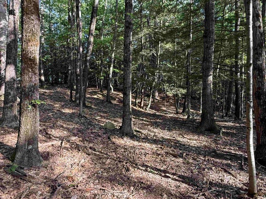 MEETINGHOUSE LN, BRATTLEBORO, VT 05301 - Image df40dcb8a32dc5736cc23af1e95fe963/4004951929