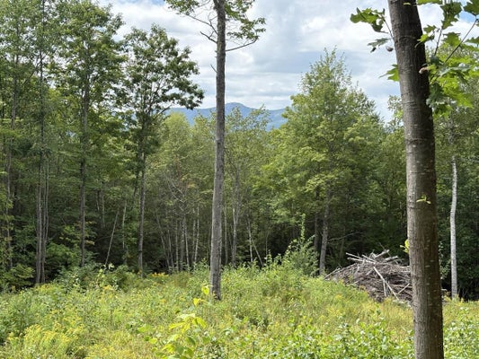 ALEXANDER HILL RD, BRISTOL, NH 03222 - Image e1de7b64ef61c901f0e00371b0646d7c/959360331
