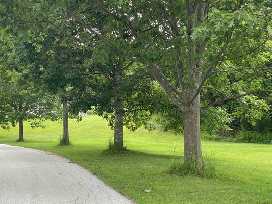 2 SHARON DR, RUTLAND, VT 05701 - Image e1e7b34c87a1a2a8cf97ac83dd8a6379/3440308677