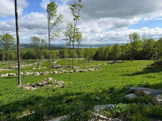 842 GIBBS RD LOT 1, NEWPORT CENTER, VT 05857 - Image e49ac88f571ab8d0aab2eefc3c06113f/1341317652