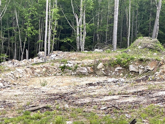 40 HOMINY POT RD, NEW LONDON, NH 03257 - Image e4fc6f1bf76f106ce24ffefd6640a261/818888820