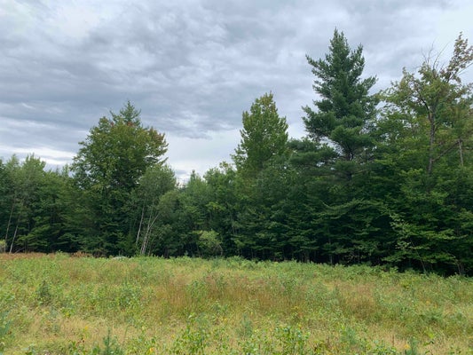 97 SKYLINE WAY, MADISON, NH 03849 - Image e62bbae6b6134d842b8d6087a6af8b32/3096347544
