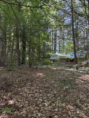STATE RTE 175, HOLDERNESS, NH 03245 - Image e68f7f4017a0037a4fc0e503cefbcd9d/1279423067