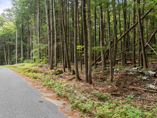 32 FOREST POND RD, NEW HAMPTON, NH 03256 - Image e795ab7729de6e0d5bc5e2bfe1ef3415/2033145994