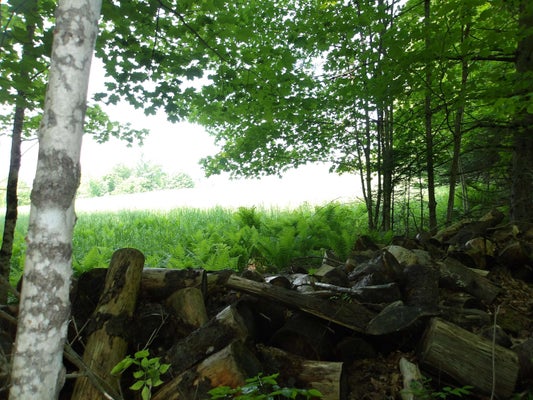 4 & 5 FOREST LANE, LYNDON, VT 05851 - Image e79744aec8a4bd650ae311aa51eea17e/3474779699