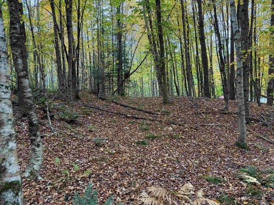 4 5TH AVE, SAINT JOHNSBURY, VT 05819 - Image e79744aec8a4bd650ae311aa51eea17e/3571408549