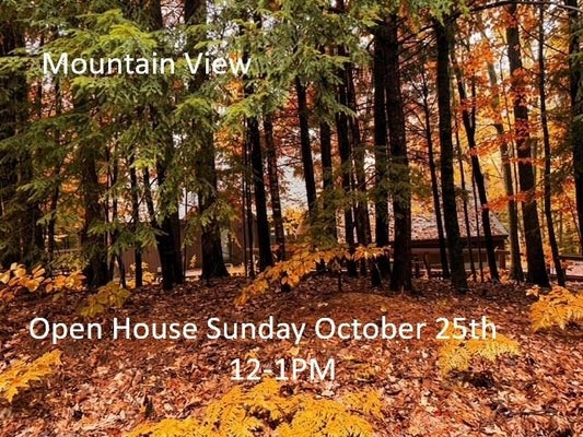 94 HERITAGE HILL RD, HOLDERNESS, NH 03245 - Image e9995b3102690345c7f47eaef9f2f45f/3957196727