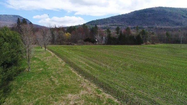 HEWITT RD, BRISTOL, VT 05443 - Image ea2dbf628fb9e18c2885a8c1eded7b16/2699415040