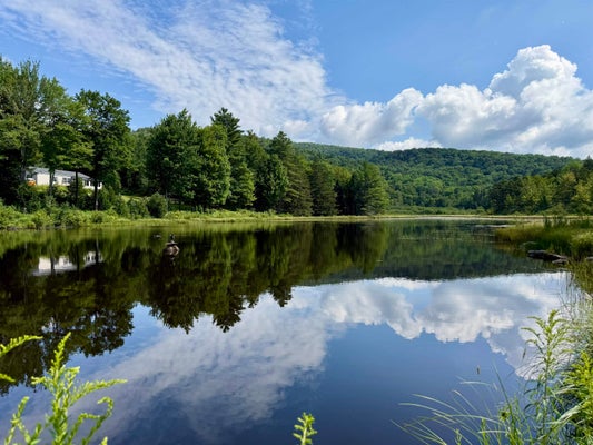 3536 PLOT RD, JOHNSON, VT 05656 - Image f1faf07afb3fe007ba3625f6684e65d0/1470426537
