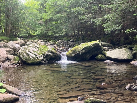 1455 JAY RD, RICHFORD, VT 05476 - Image f20be59a442081ed8f45cf524a2d42d2/3328667945