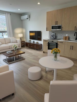 215 MAIN ST APT 207, BRATTLEBORO, VT 05301 - Image f7307d7a2084d5a20b8a1d5f1358ef8e/423647030