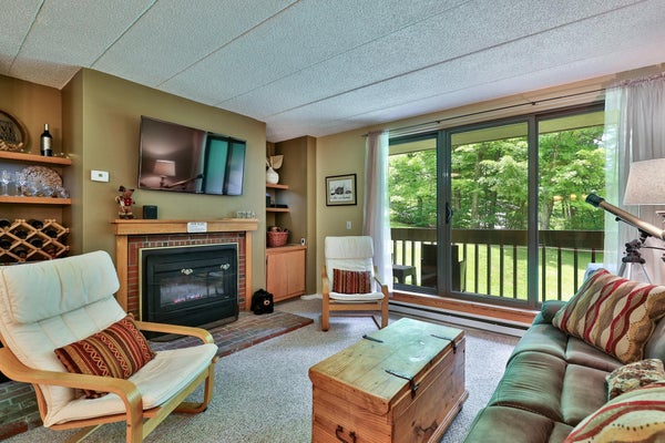 203 OLD MILL RD # 5, KILLINGTON, VT 05751 - Image fb8b8dd5f8214d735bca2f3dc2d764c4/1867863303