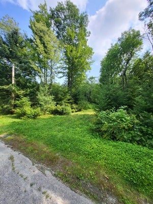 NOYES ST, BETHLEHEM, NH 03574 - Image fdb136a82cd65e598a0b15b11c60b091/4094848883