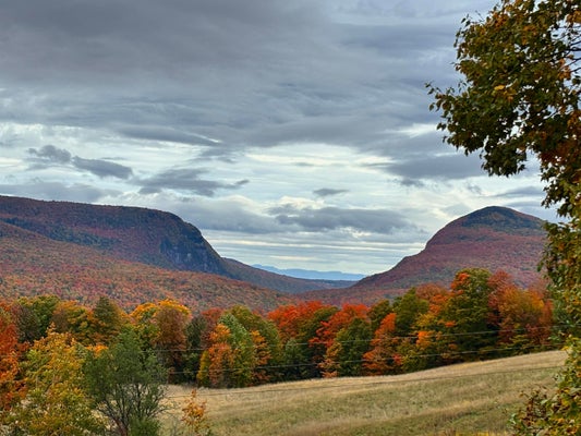 2354 E RIDGE RD, WEST BURKE, VT 05871 - Image ff4cb4618900f82a0daf4e61460936f9/3821754187