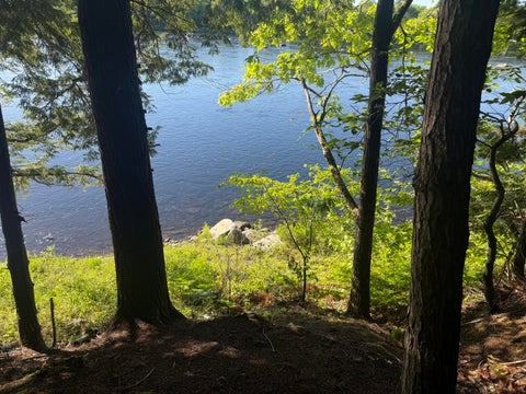 Photo of 1.311 Route 116 Route, Mattamiscontis Twp, ME 04457 (MLS # 1666854)