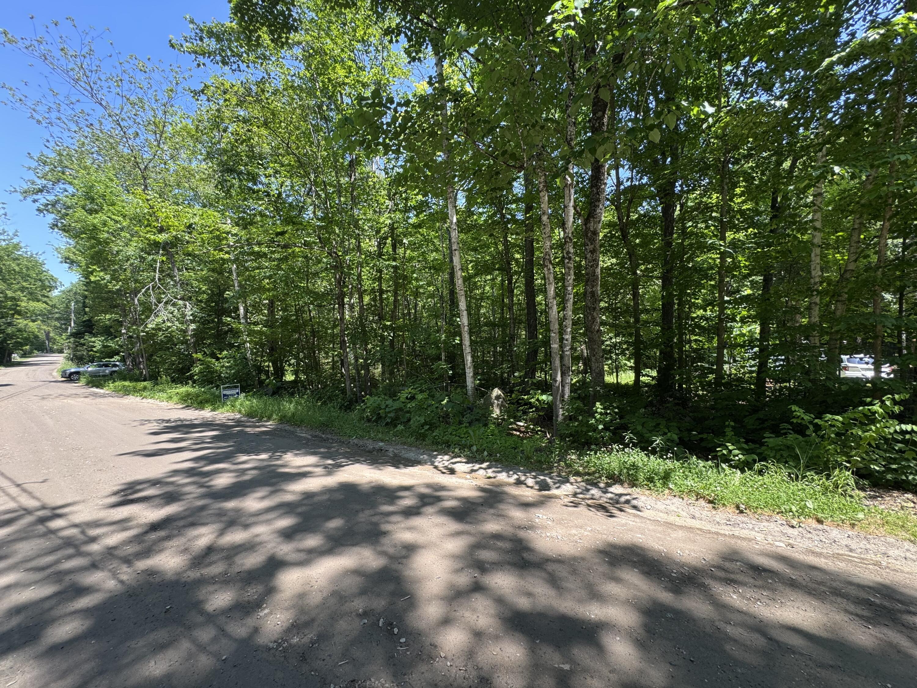 Lot 19 Thomas Pond Shore Road