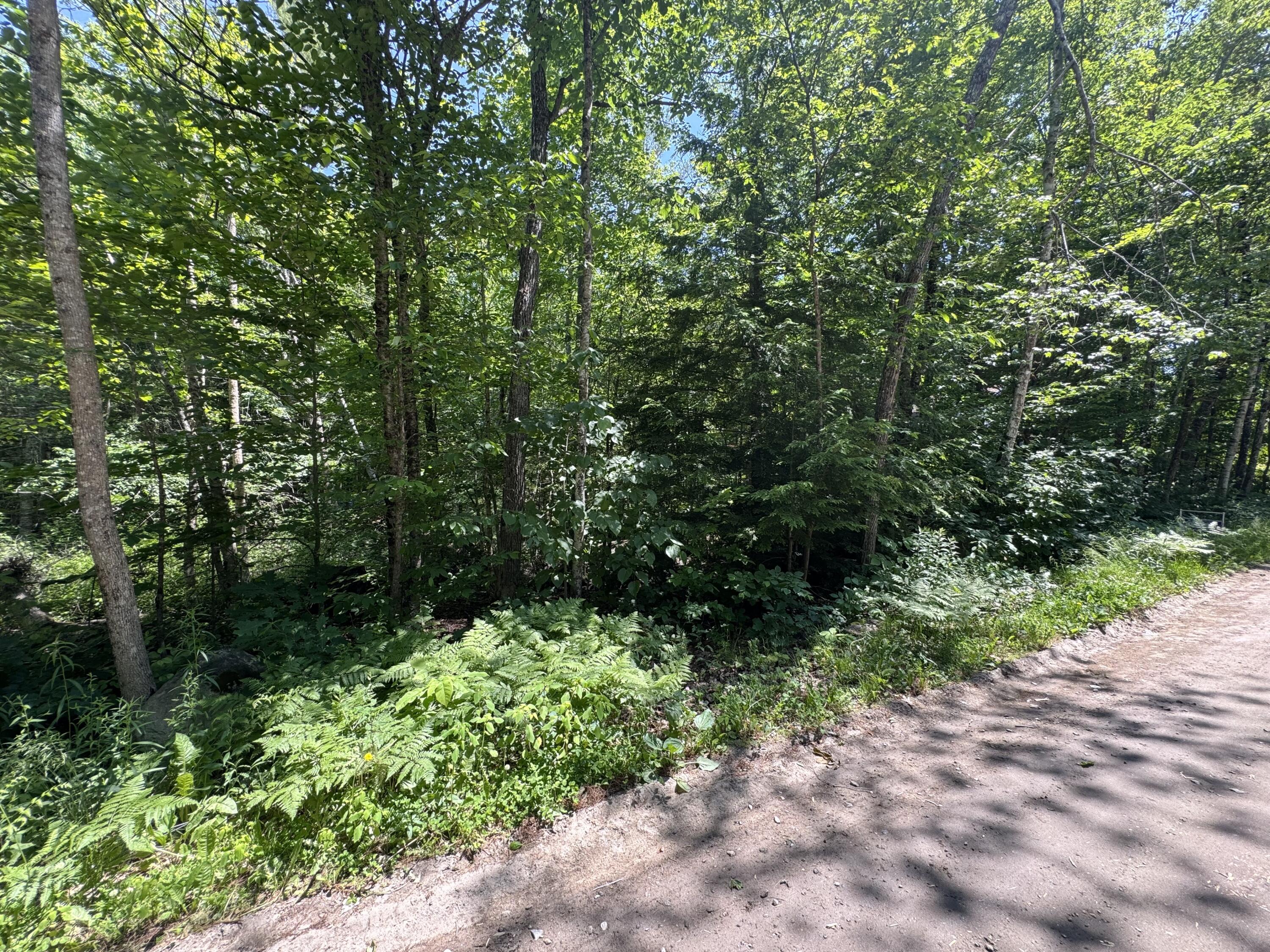 Lot 19 Thomas Pond Shore Road