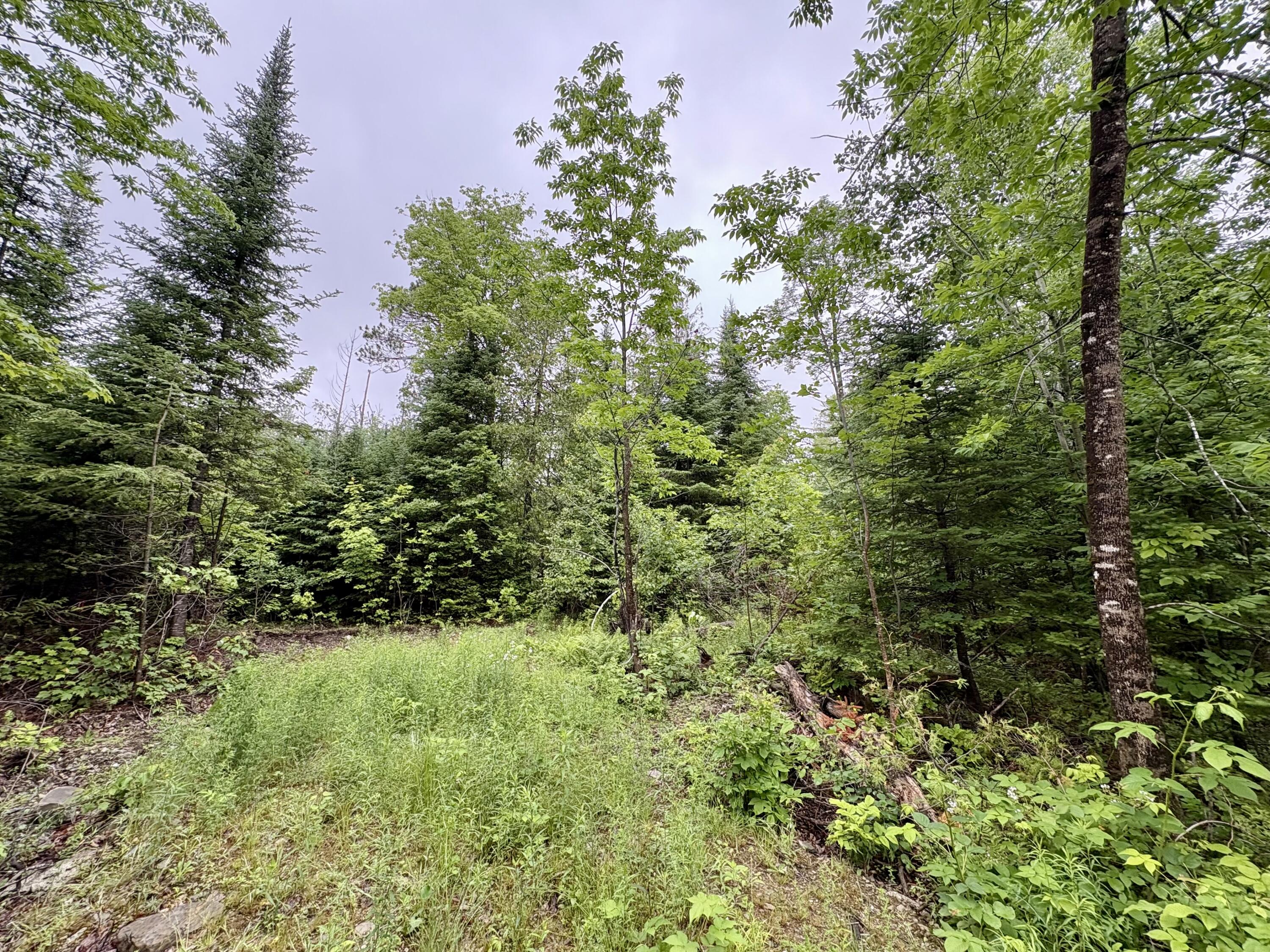 Lot 1 Mt. Jefferson Heights