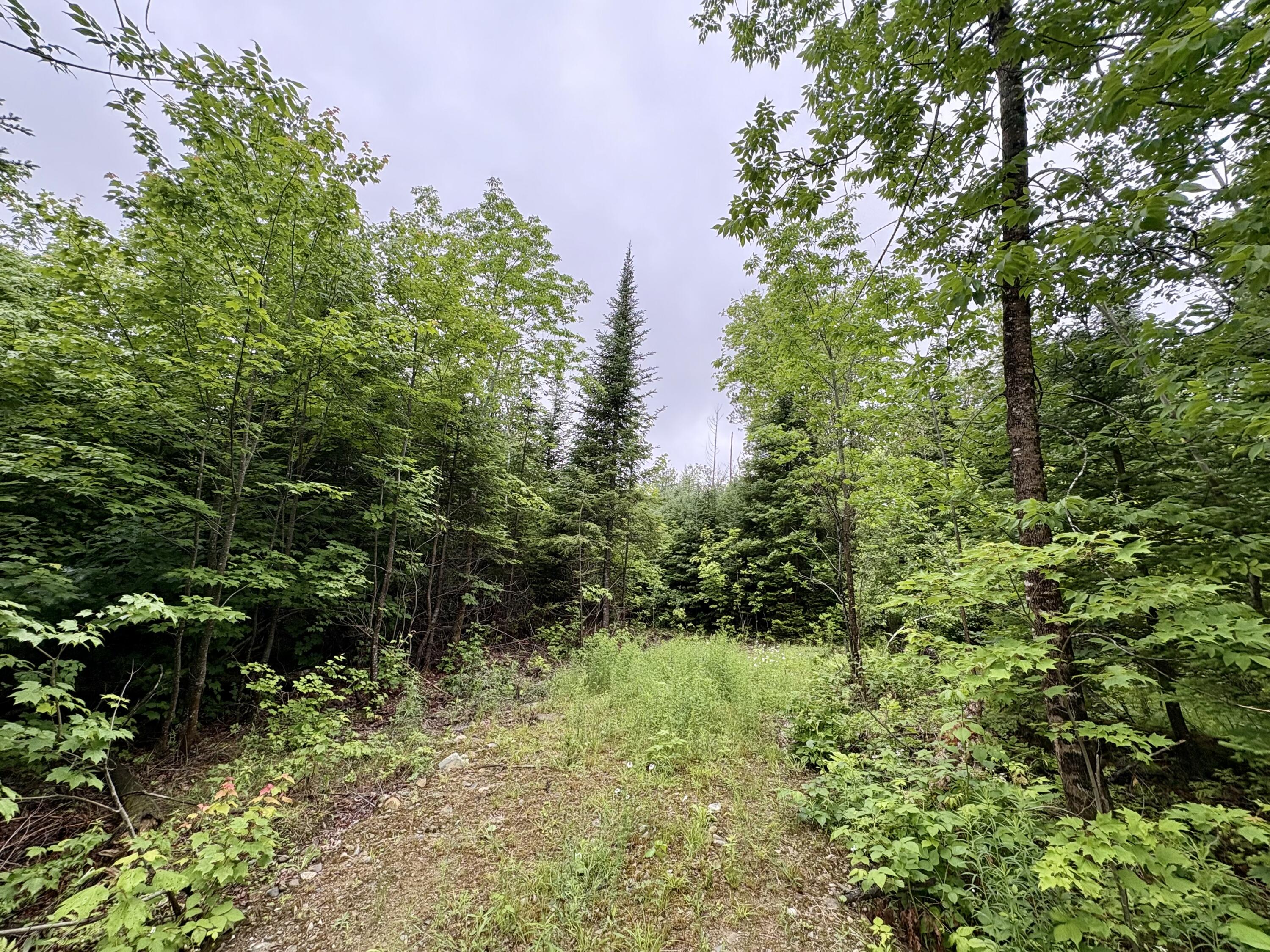 Lot 1 Mt. Jefferson Heights