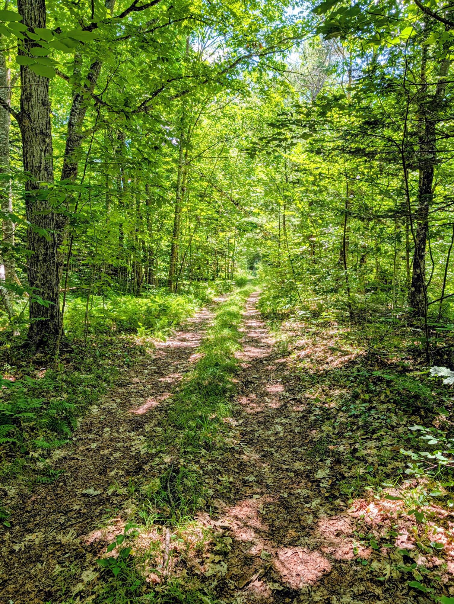 Lot 42 Beech Hill Road