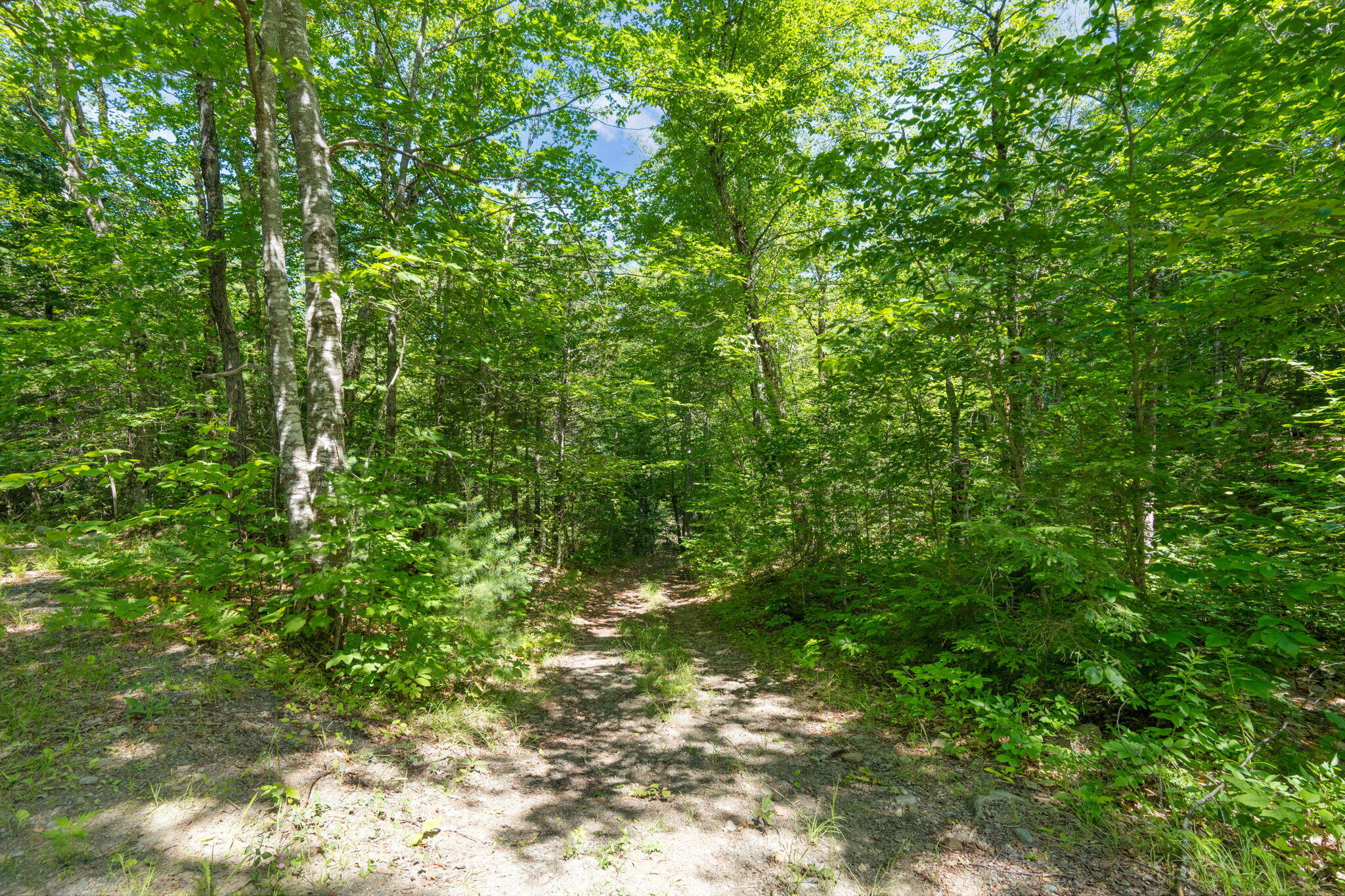 Lot 42 Beech Hill Road