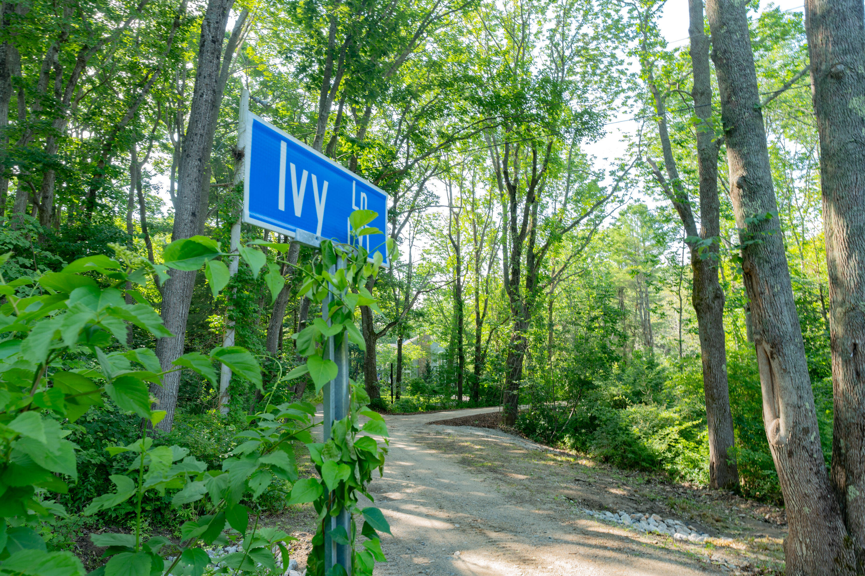 2A Ivy Lane