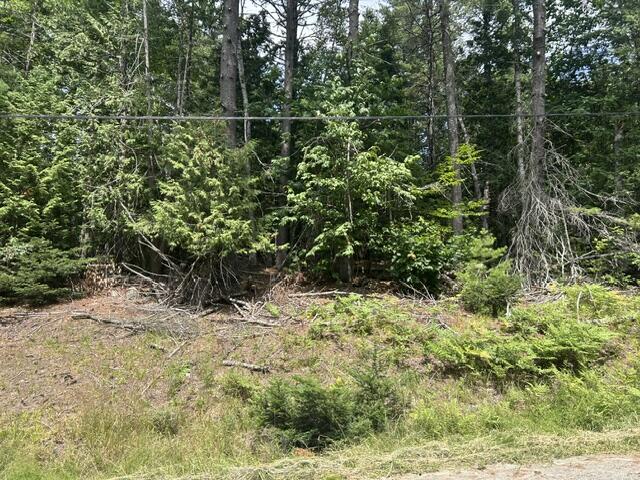 M13L65 Holmes Road