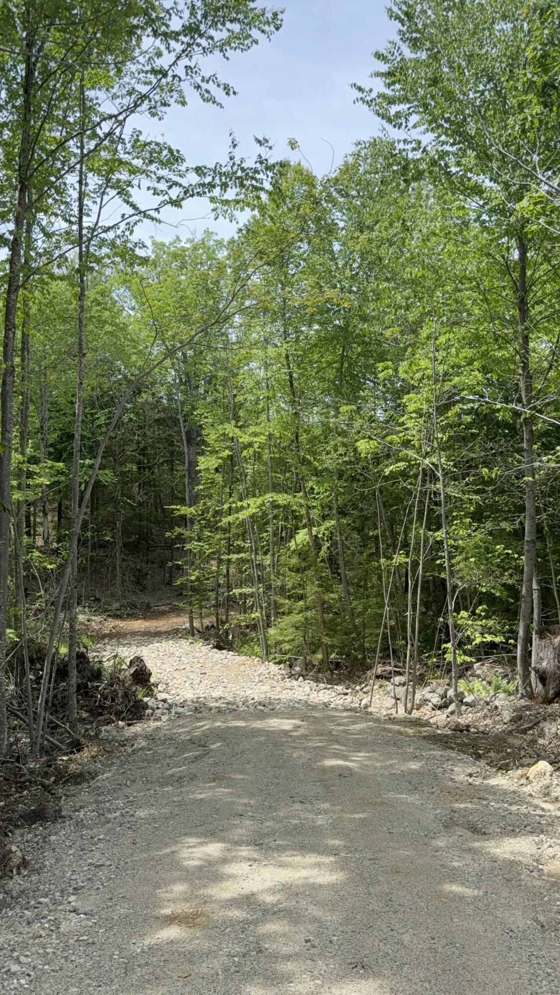 Lot 12 Deering Ridge Road