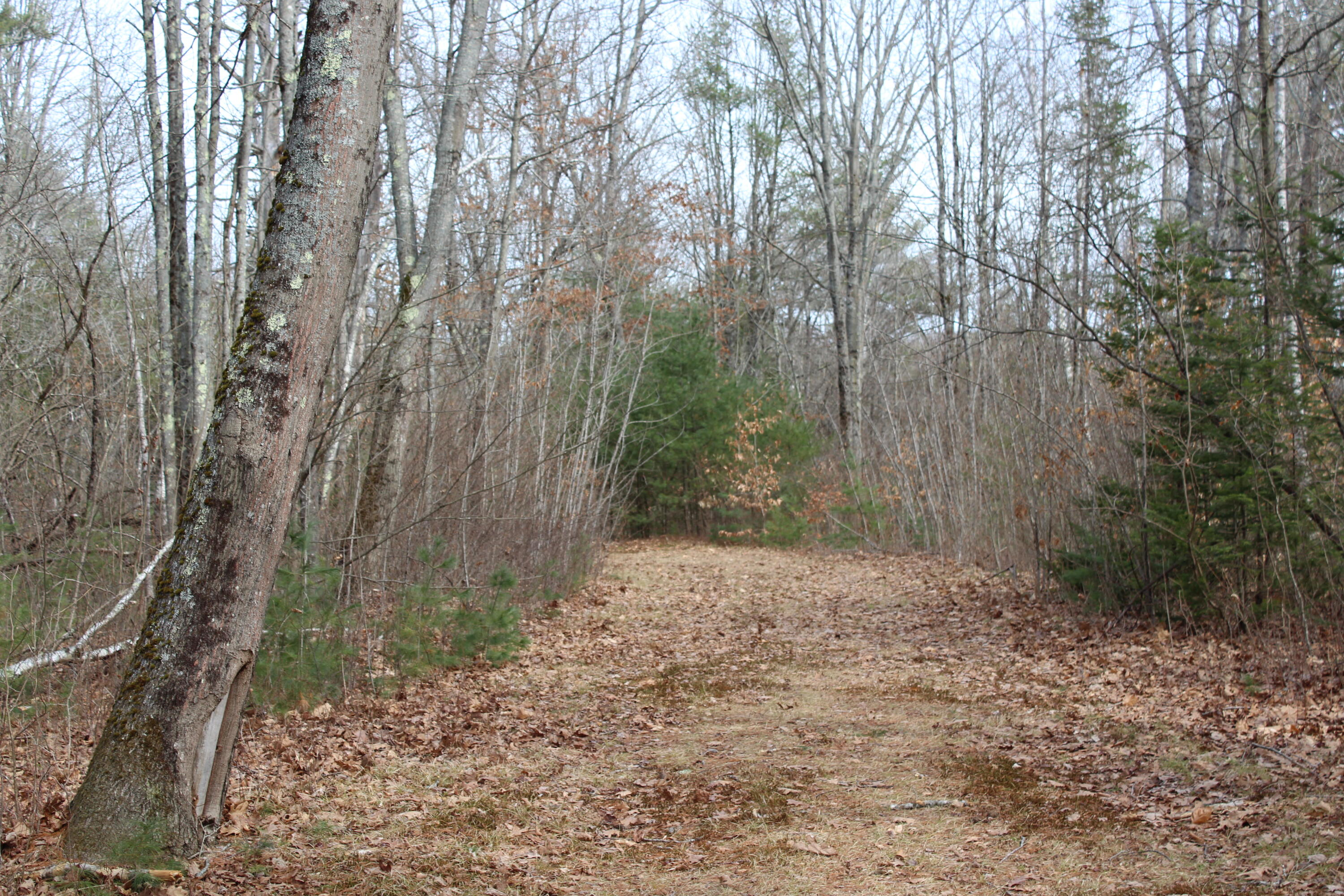 Lot 00A Knight Farm Road
