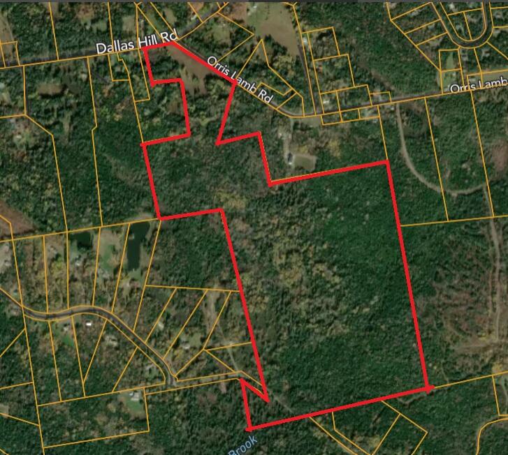 Lot#100 Dallas Hill Road